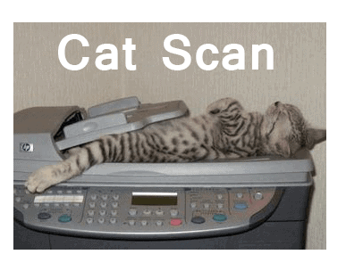 cat scan meme - funny doctor meme