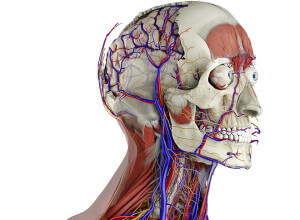 3d4 medical app