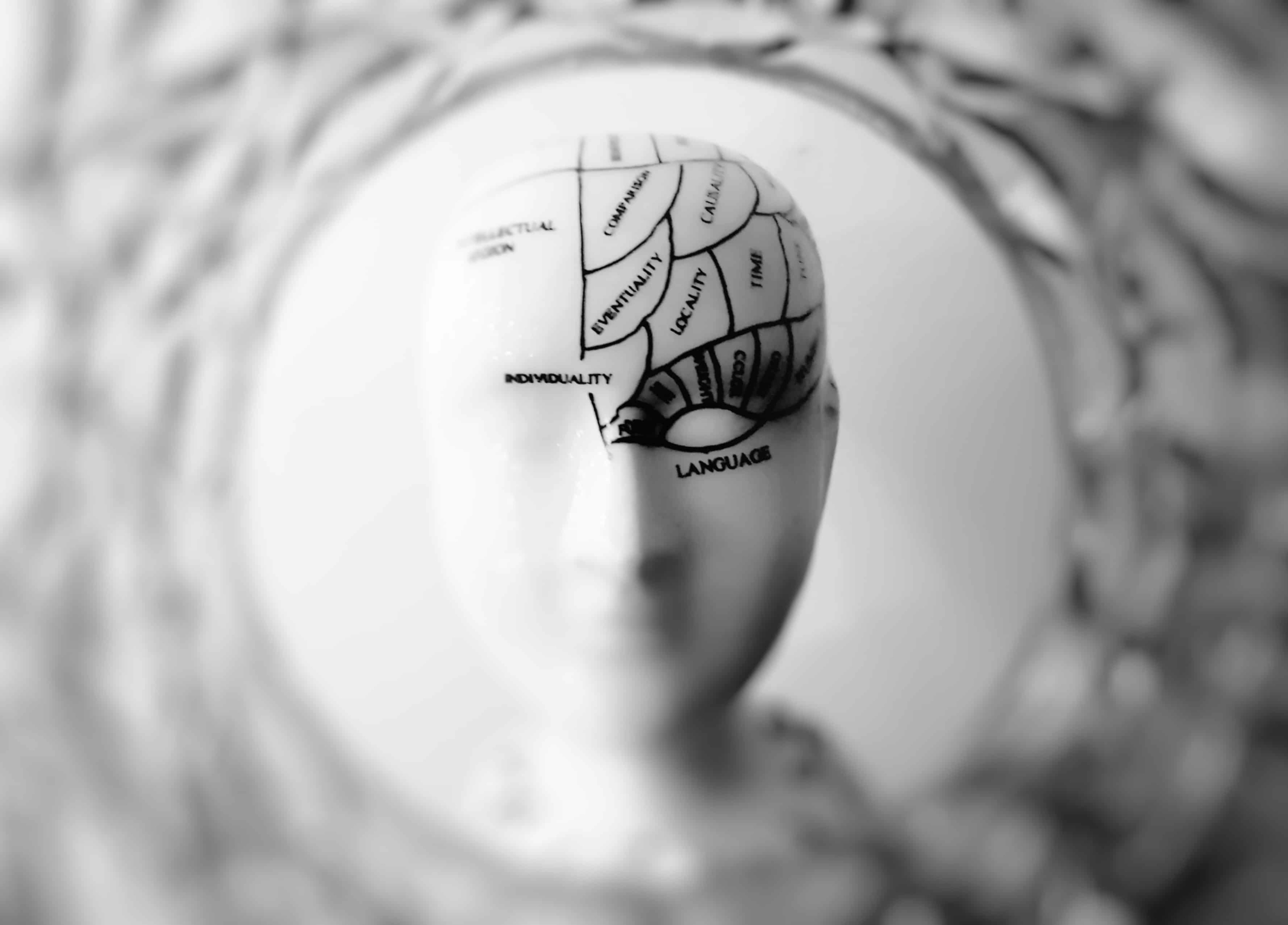alcohol and stem cells