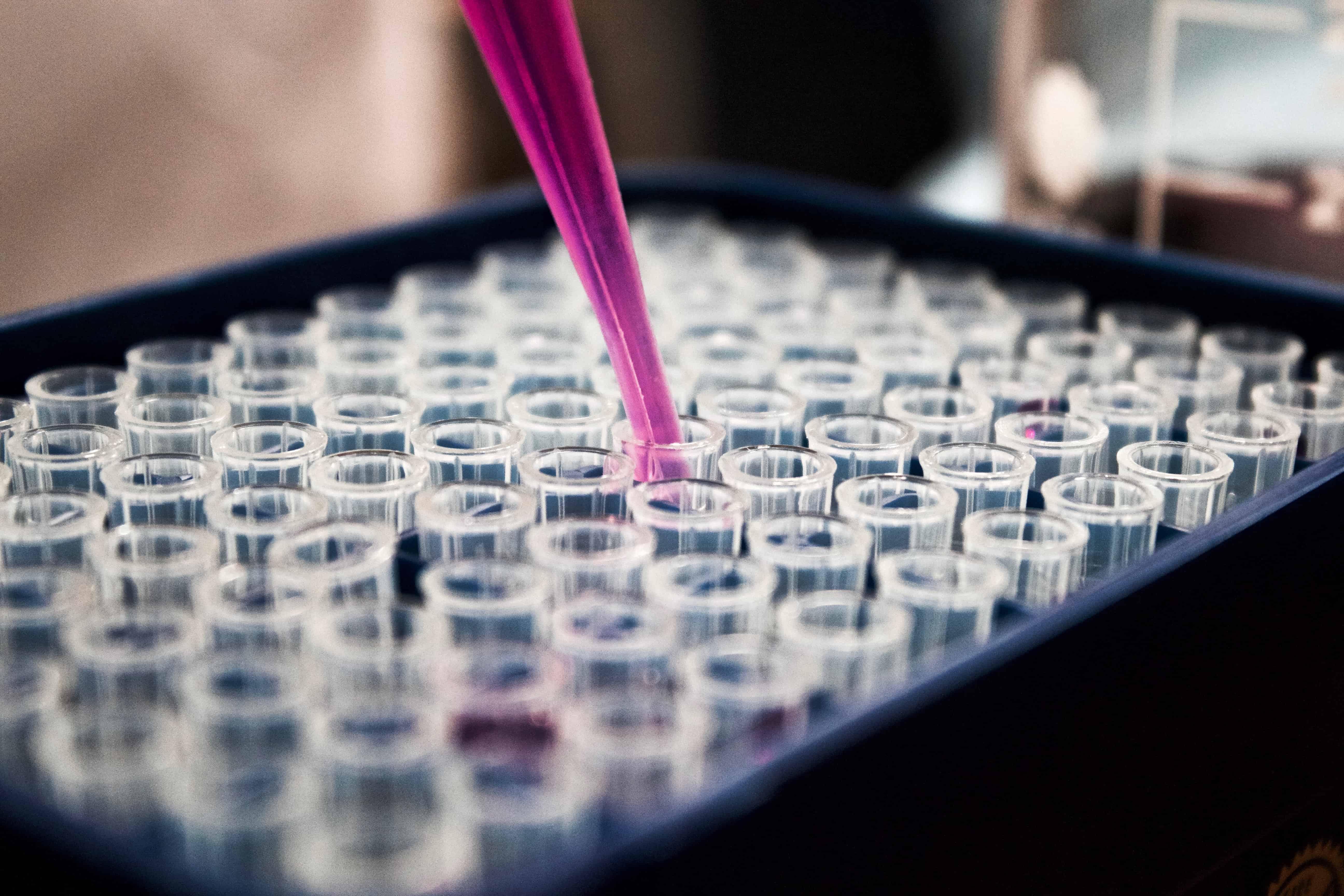 stem cells