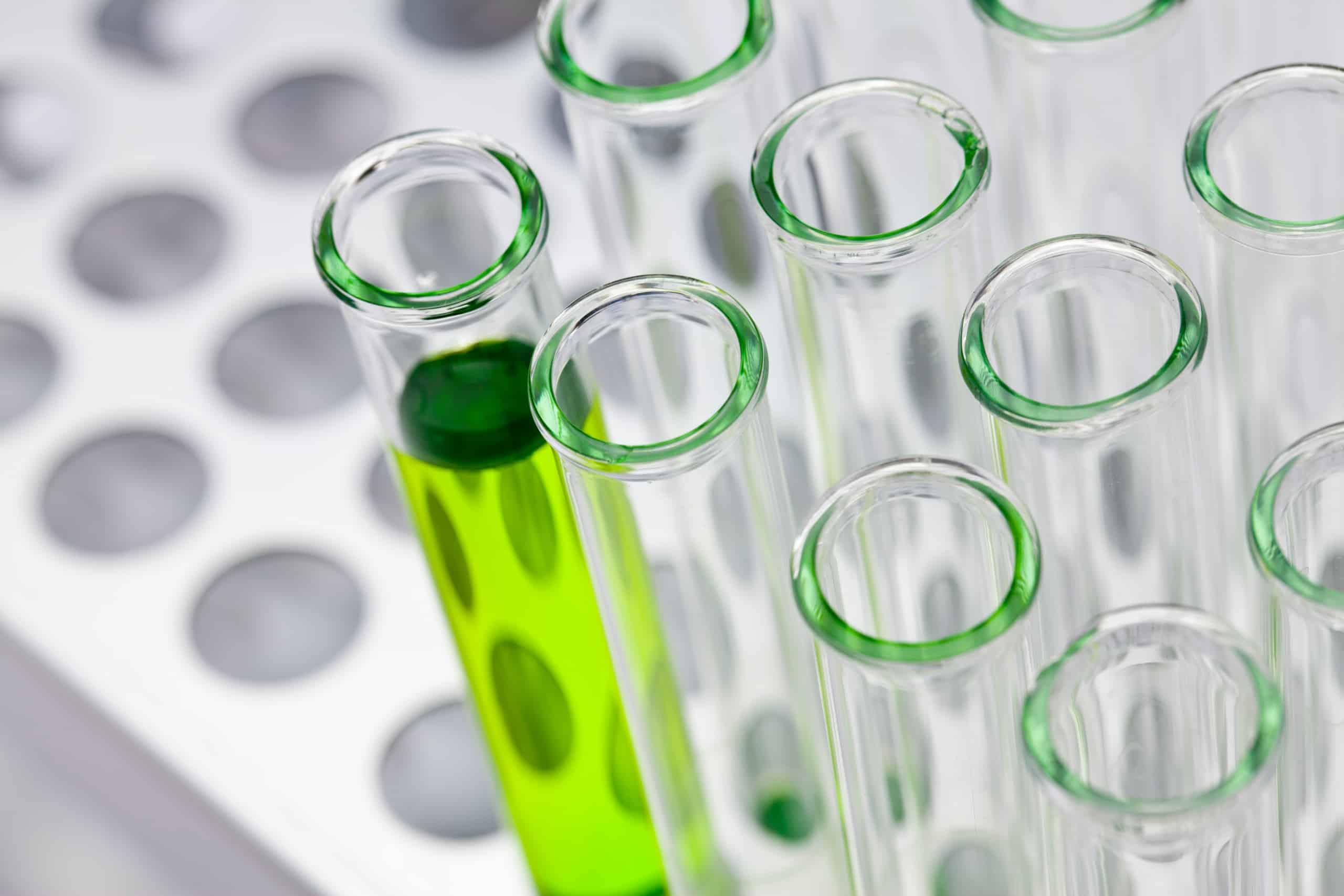 Test tubes in metal rack. Concept for science, medical, research.
